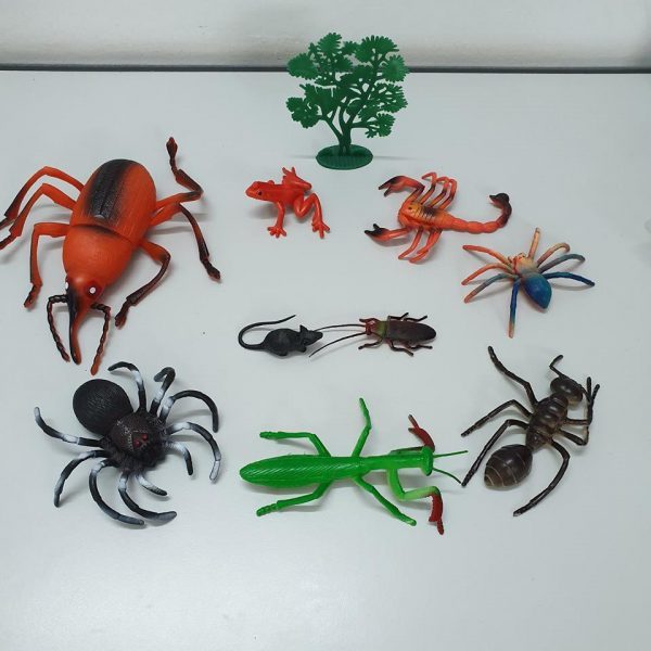 Mô hình 10 côn trùng thế giới côn trùng HT7505  Đồ chơi trẻ em Hoàng Thu